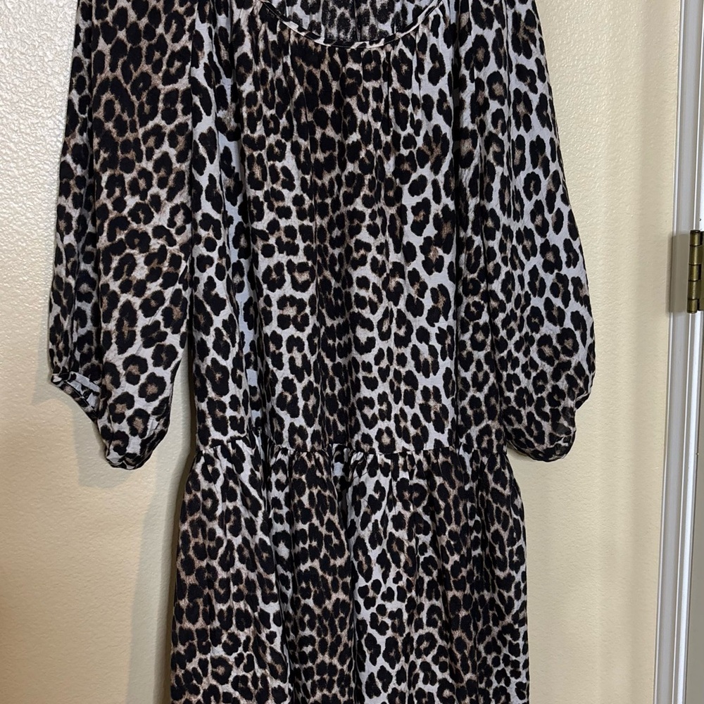 H&M Leopard Print Dress
